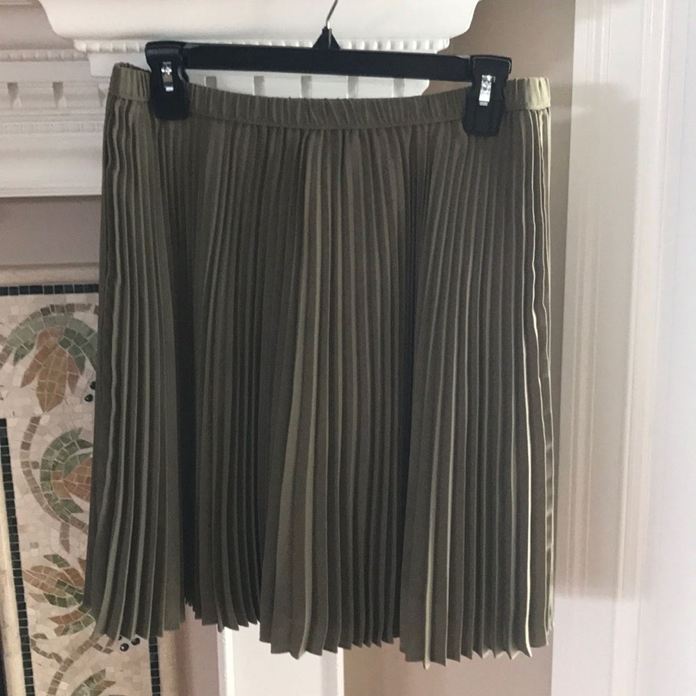 Banana Republic Pleated Skirt